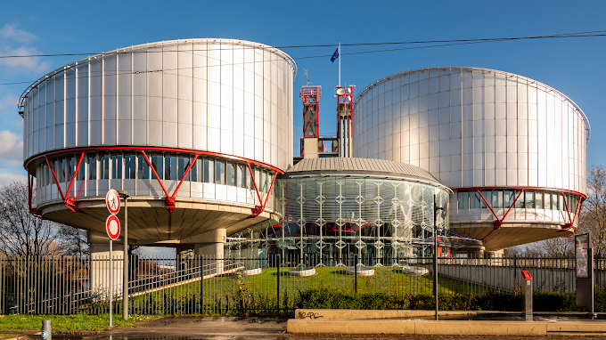 El Principio de Legalidad para el Tribunal Europeo de Derechos Humanos - TEDDHH