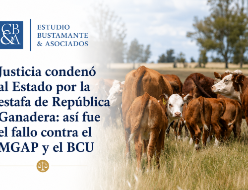 Justicia condenó al Estado por la estafa de República Ganadera: así fue el fallo contra el MGAP y el BCU